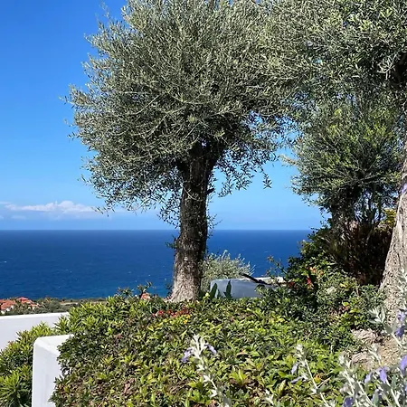 别墅 Romantic Santorini-style With Private Pool And Sea View Orga